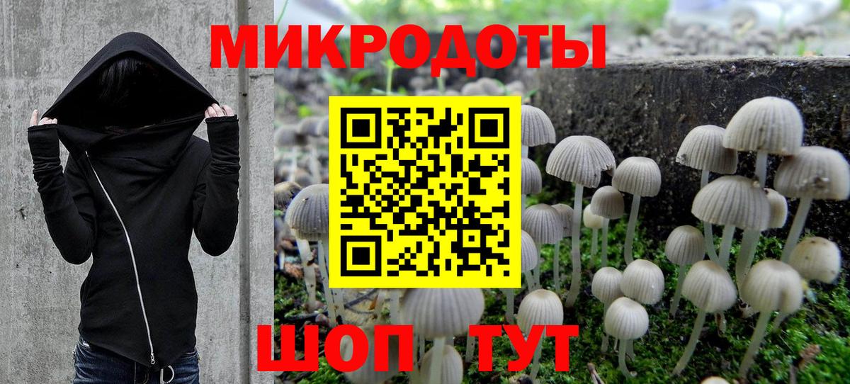 Галлюциногенные грибы Psilocybine cubensis Бердск