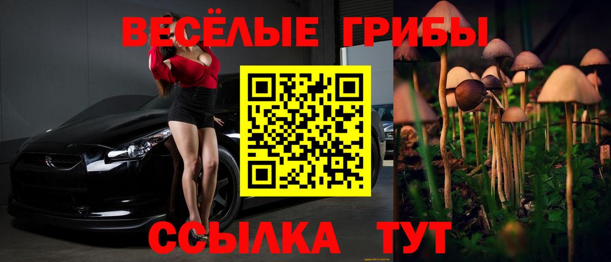 Галлюциногенные грибы мицелий  Вход с VPN  купить закладку  Бердск  Галлюциногенные грибы Psilocybe 
